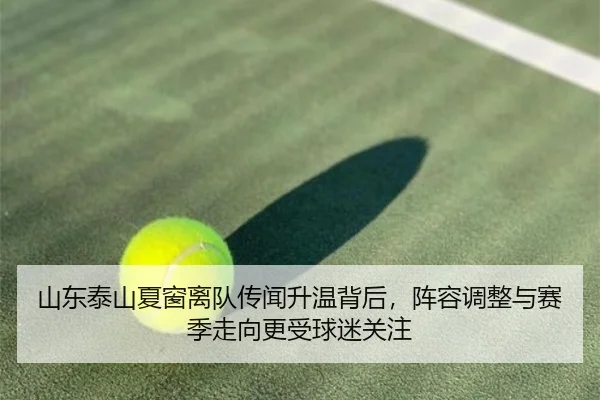 山东泰山夏窗离队传闻升温背后，阵容调整与赛季走向更受球迷关注 | kaiyun